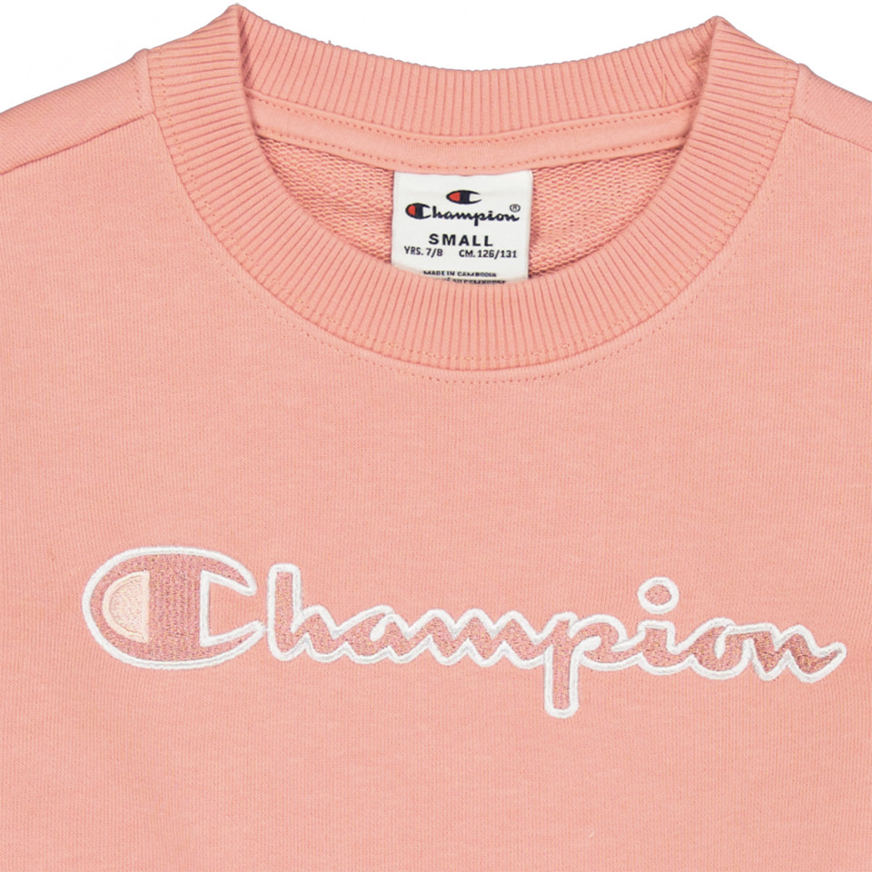 Champion sweatshirt 2025 rose